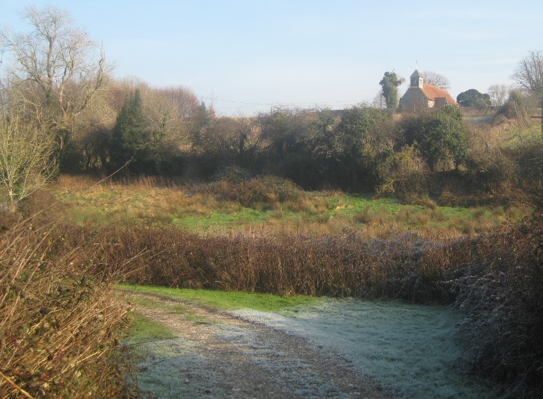 Binsted's 12th century church looks over a hidden valley of grazing marsh with rare flowers and birds